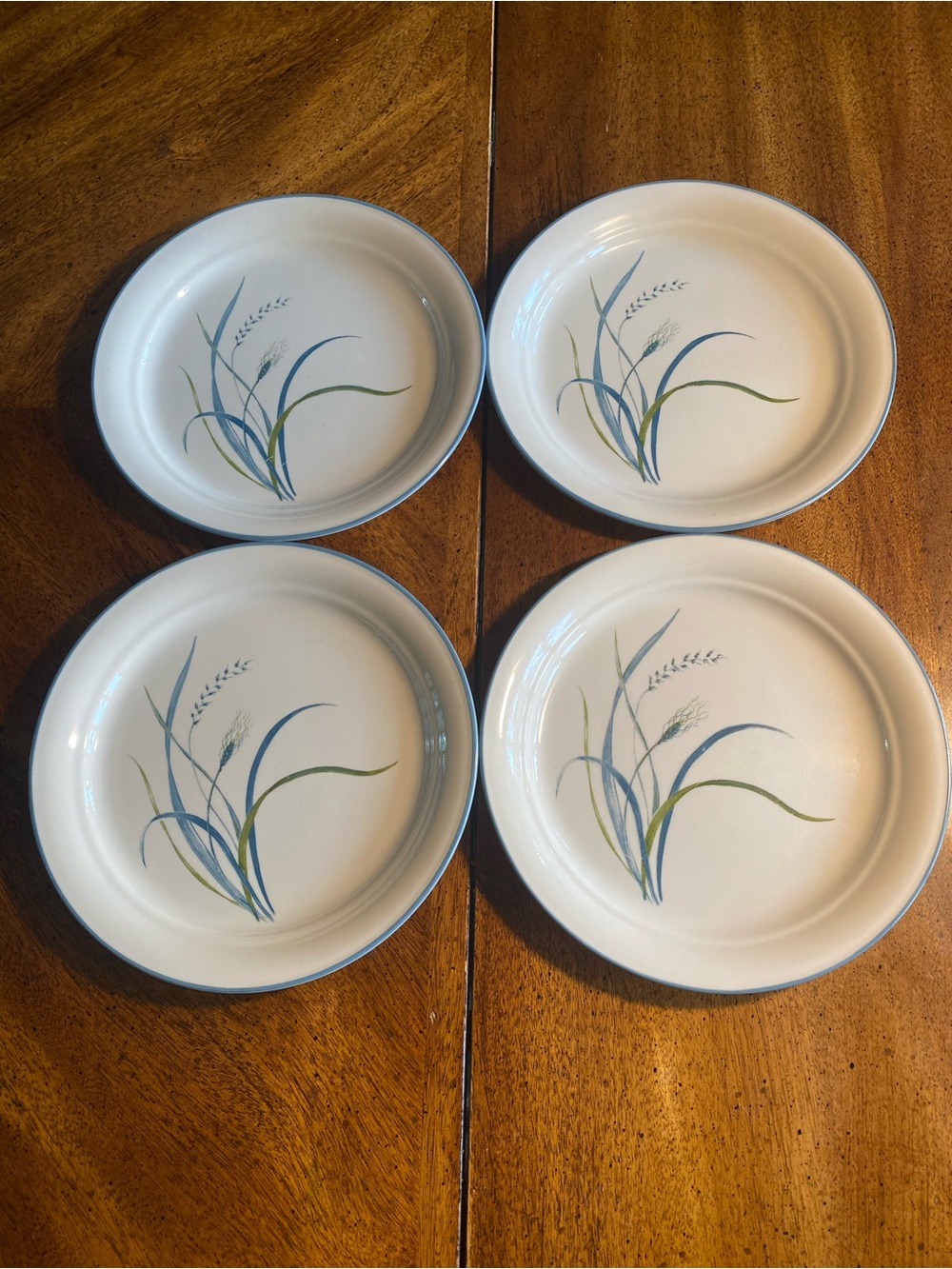 4 Corelle Coastal Breeze 8.5” Salad Plates
